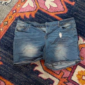 24 W jean shorts